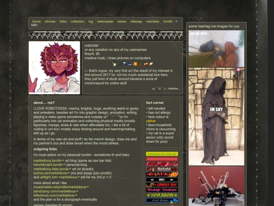 webmaster screenshot