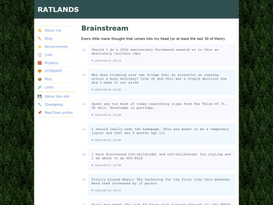 brainstream screenshot