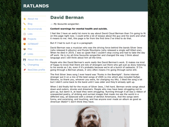 igtbsaat/david-berman screenshot