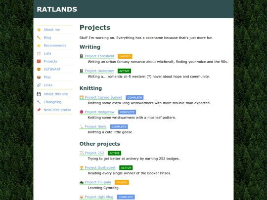 projects screenshot