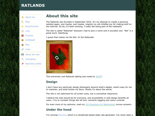 website screenshot