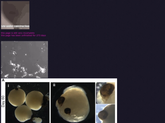 experiments screenshot