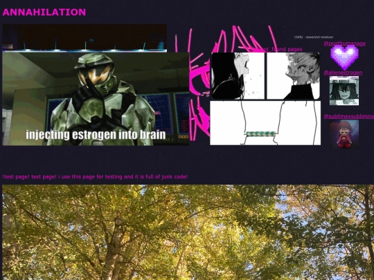 loggedin screenshot