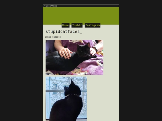 stupidcatfaces screenshot