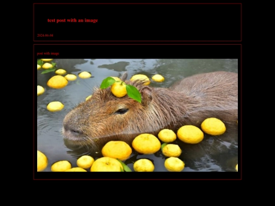 blog/imagepost screenshot