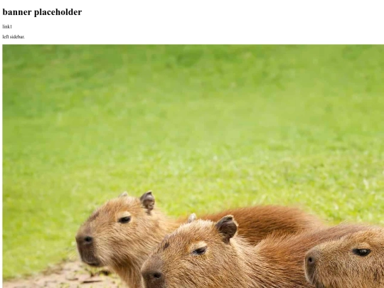 testhomepage screenshot