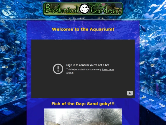 aqua screenshot