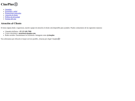 paginas/atencion screenshot