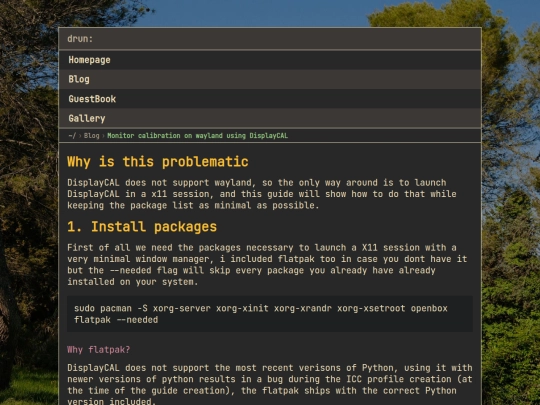 articles/Monitor calibration on wayland using DisplayCAL screenshot