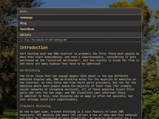 articles/The reality of self hosting DNS screenshot