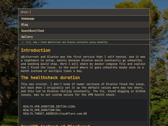 img/articles/How i fixed qbittorrent and gluetun constantly going unhealthy screenshot