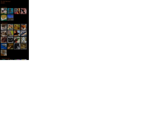 pollyanna/joined screenshot