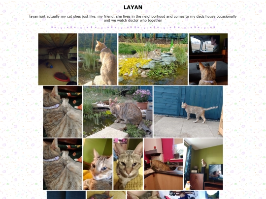 layan screenshot