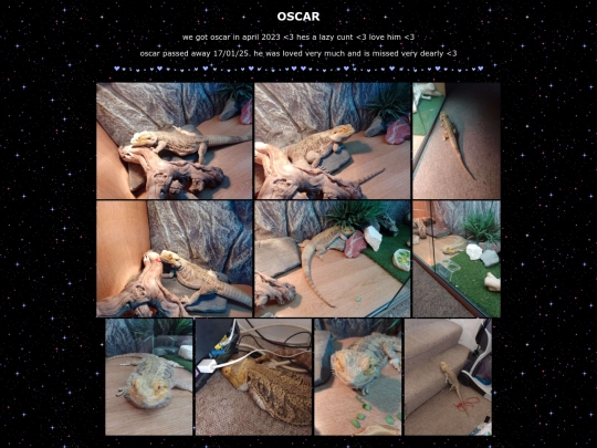 oscar screenshot