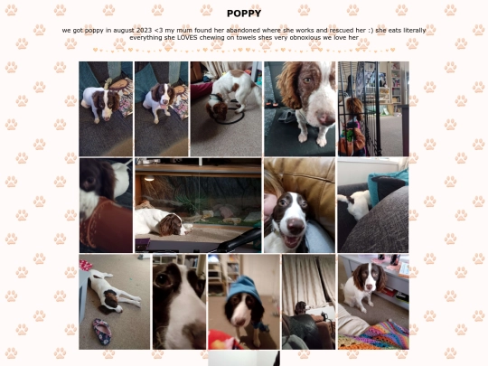 poppy screenshot
