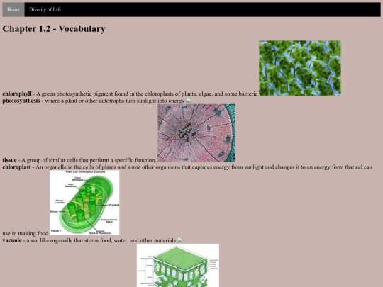 viruses/3/vocab screenshot