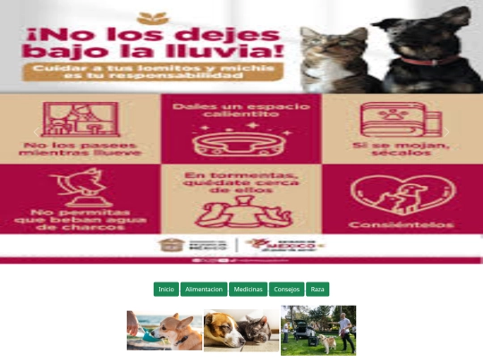 Consejos screenshot