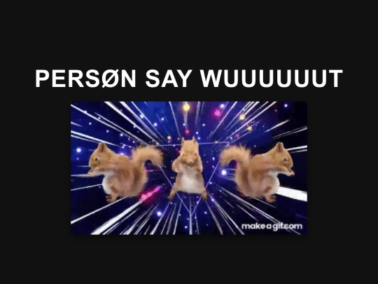 Persn_say_wut screenshot