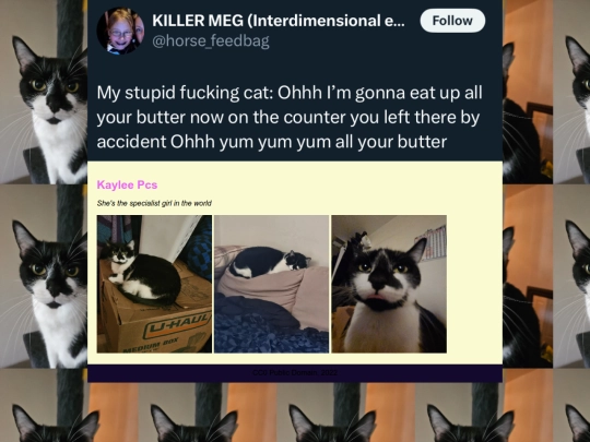 kaylee screenshot