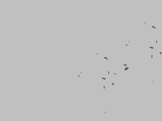 kon screenshot