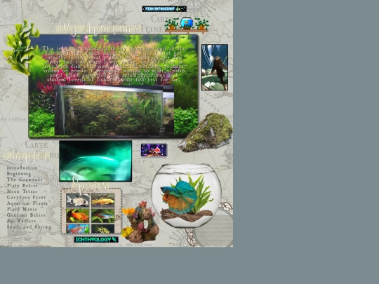 aquariums screenshot