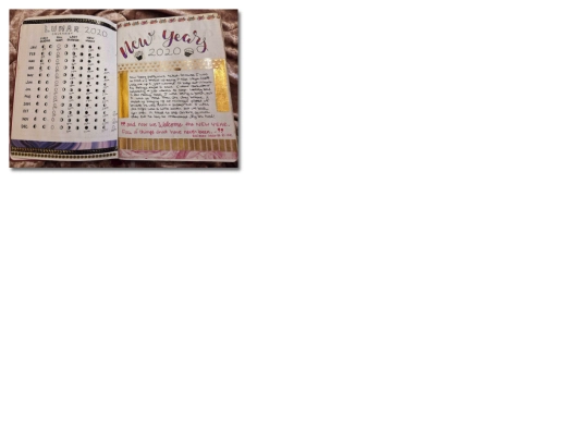 journal/2020 screenshot