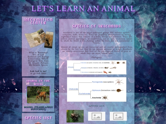 letslearnananimal/animalia/arthropoda/arachnida screenshot