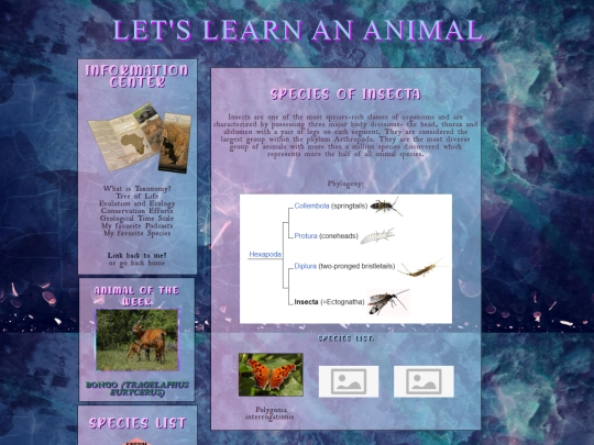 letslearnananimal/animalia/arthropoda/insecta screenshot