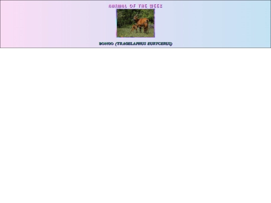 letslearnananimal/webgarden5 screenshot