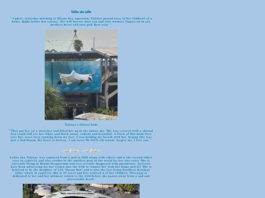 shrines/toki screenshot