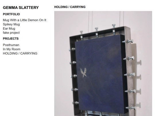 projects/holding_carrying screenshot