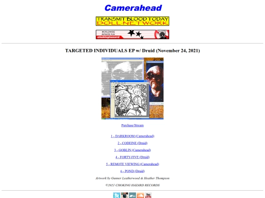 targetedindividuals screenshot