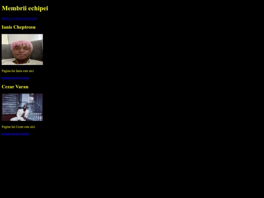 tic/TICCC/echipa screenshot