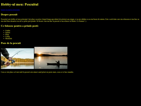 tic/TICCC/hobby screenshot