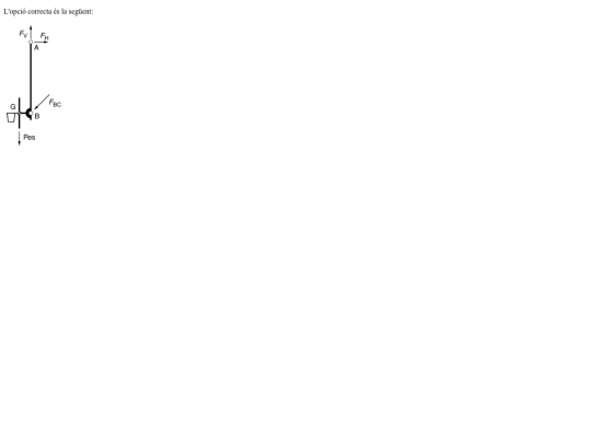 selectivitat-test/s2/steps/indexsteps10a screenshot