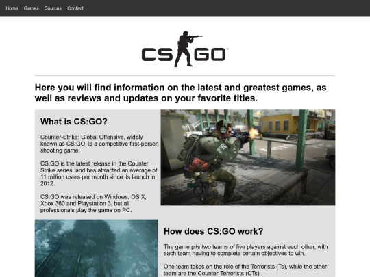 CsGo screenshot