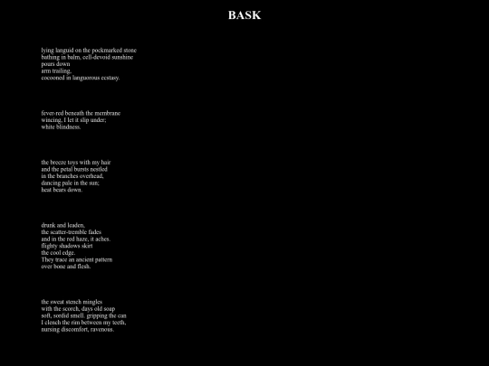 bask screenshot