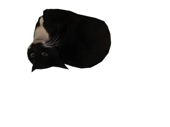 speen screenshot