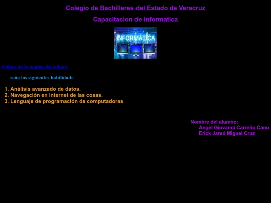 Pagina web info screenshot