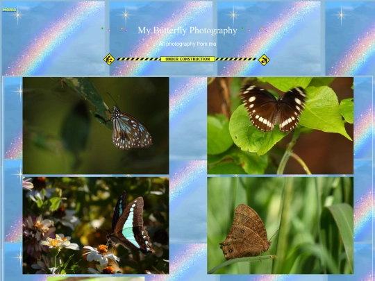 butterfly photography screenshot