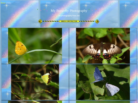 butterflyphotography screenshot