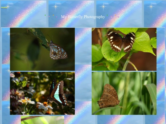 photography screenshot