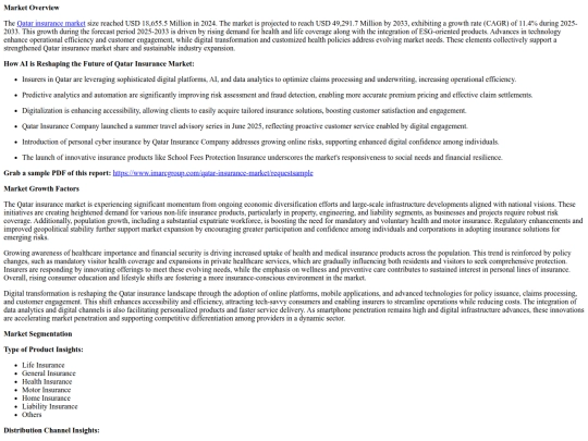 QatarInsuranceMarketSizeShareGrowthandForecast2025-2033 screenshot