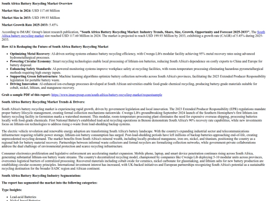 SouthAfricaBatteryRecyclingMarket2025GrowthTrendsandForecastby2033 screenshot