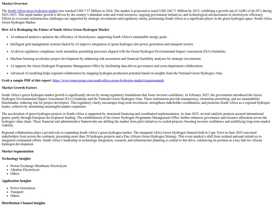 SouthAfricaGreenHydrogenMarketSizeTrendsandGrowthAnalysis2025-2033 screenshot