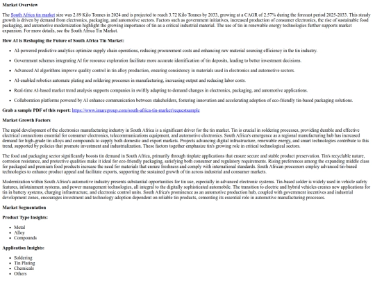 SouthAfricaTinMarketTrendsGrowthandDemandForecast2025-2033 screenshot