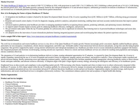 qatar-healthcare-it-market screenshot