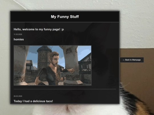 funny screenshot