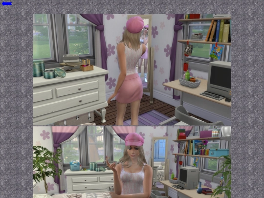 diortop screenshot