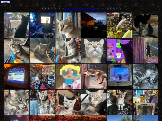 pics screenshot